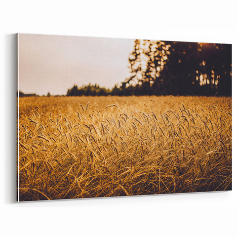 Golden Wheat Field Rustic Wall Art - Farmhouse Nature Decor for Homes