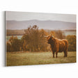 Highland Cow Rustic Wall Art - Farmhouse Nature Decor for Country Homes