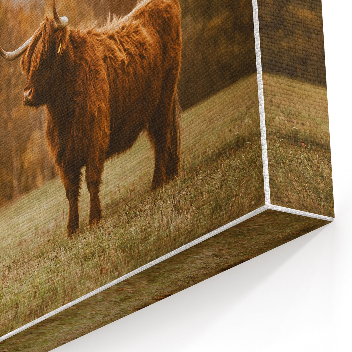 Highland Cow Rustic Wall Art - Farmhouse Nature Decor for Country Homes