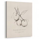 Minimalist Botanical Art: "Homegrown Fruit" Apple Branch Sketch in Neutral Tones