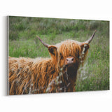 Highland Cow Rustic Wall Art - Cozy Farmhouse Nature Decor for Homes
