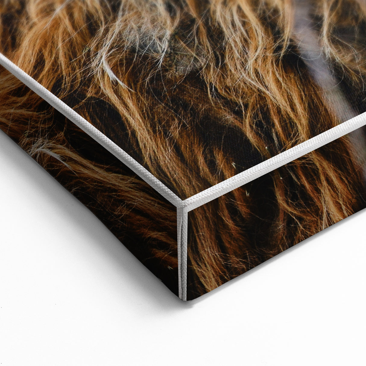 Highland Cow Rustic Wall Art - Cozy Farmhouse Nature Decor for Homes