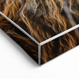 Highland Cow Rustic Wall Art - Cozy Farmhouse Nature Decor for Homes