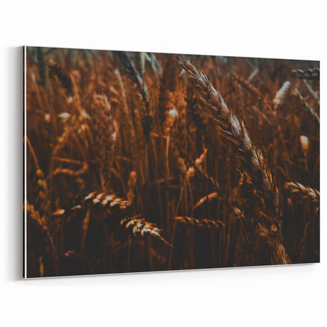 Moody Wheat Field Rustic Wall Art - Farmhouse Country Decor