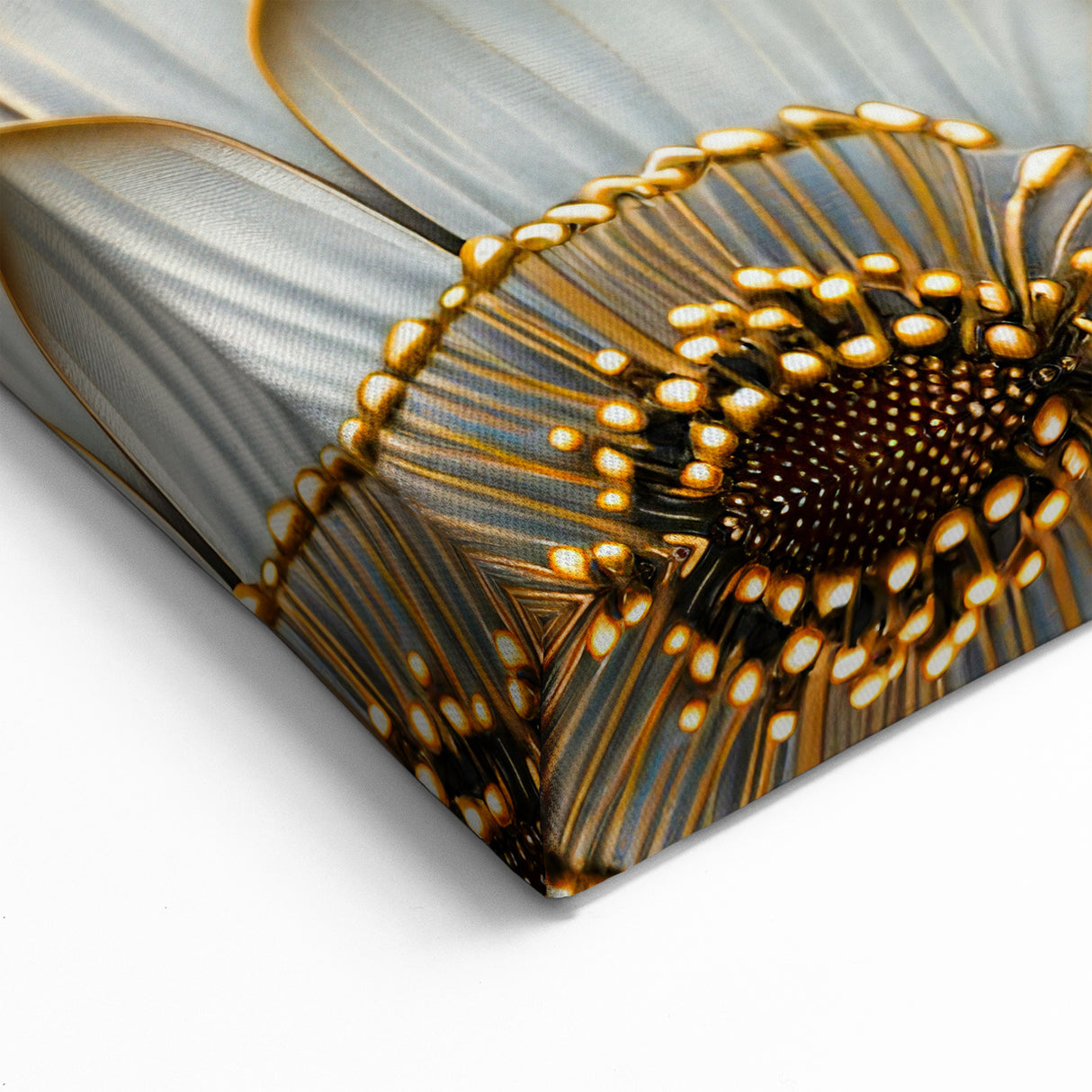 Glamorous Black and Gold Floral Wall Art – Luxury Modern Botanical Decor