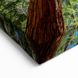 Majestic Sequoia Trees Print - California Scenery Wall Art of Sequoia Forest