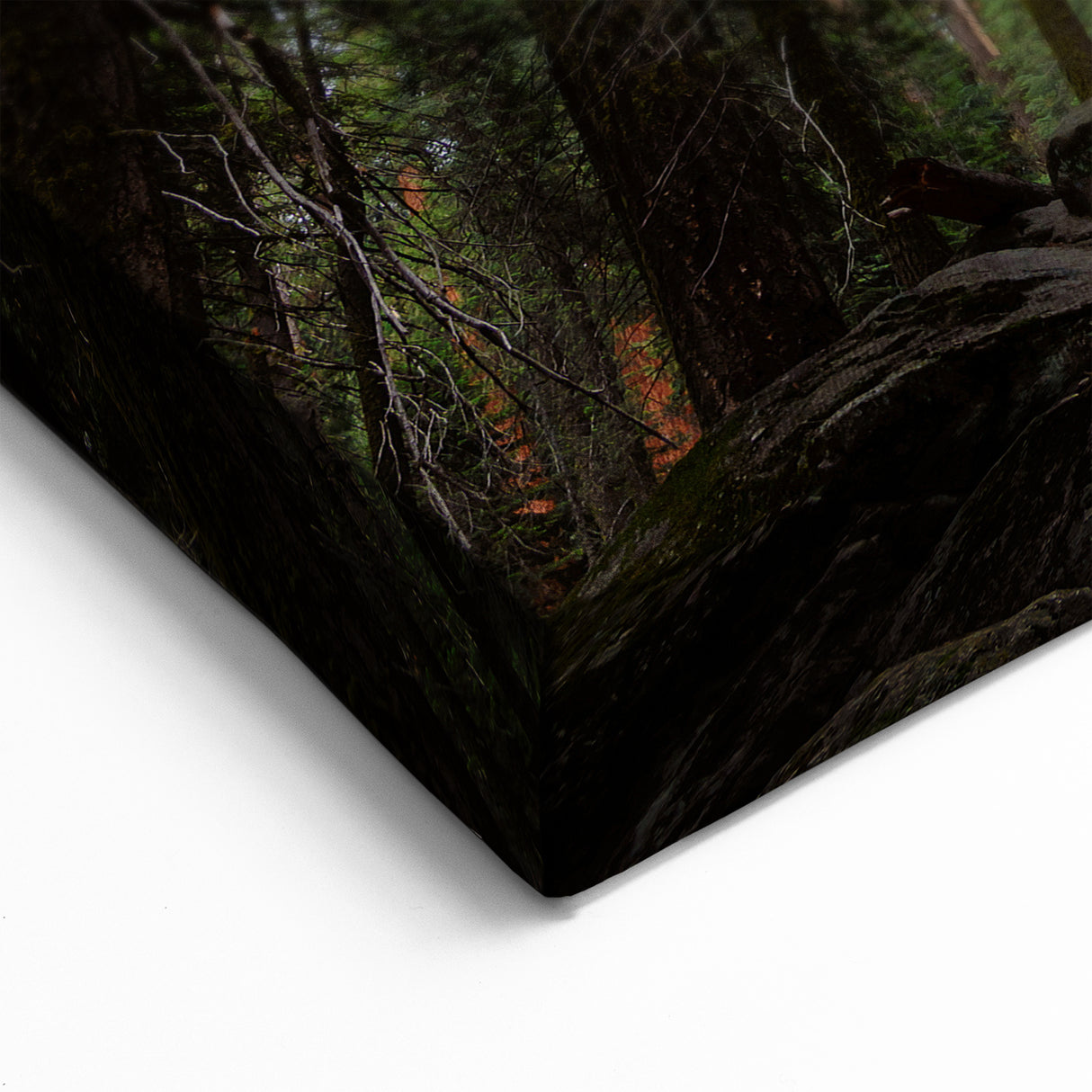 Majestic Sequoia Trees Print - Towering Nature Photography Wall Art
