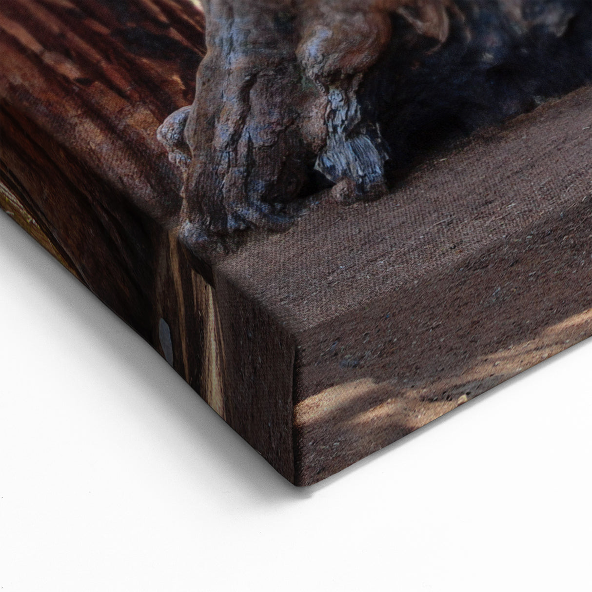 Sequoia National Park Art – Majestic Towering Trees Canvas and Framed Prints