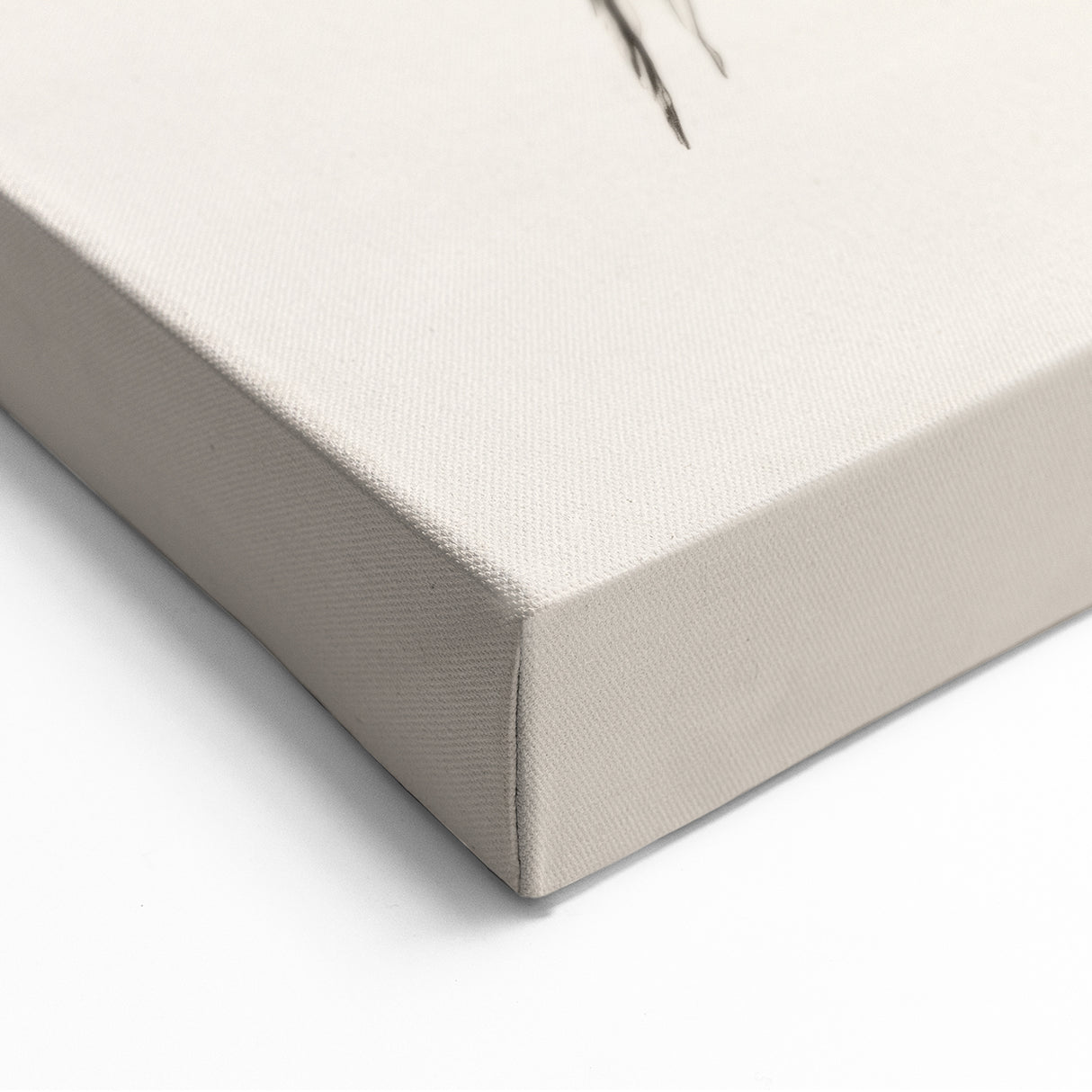 Minimalist Wall Art – Simple Botanical Line Art Prints for Modern Decor