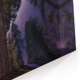 Towering Sequoia Trees Print – Starry Night Sky Wilderness Wall Art