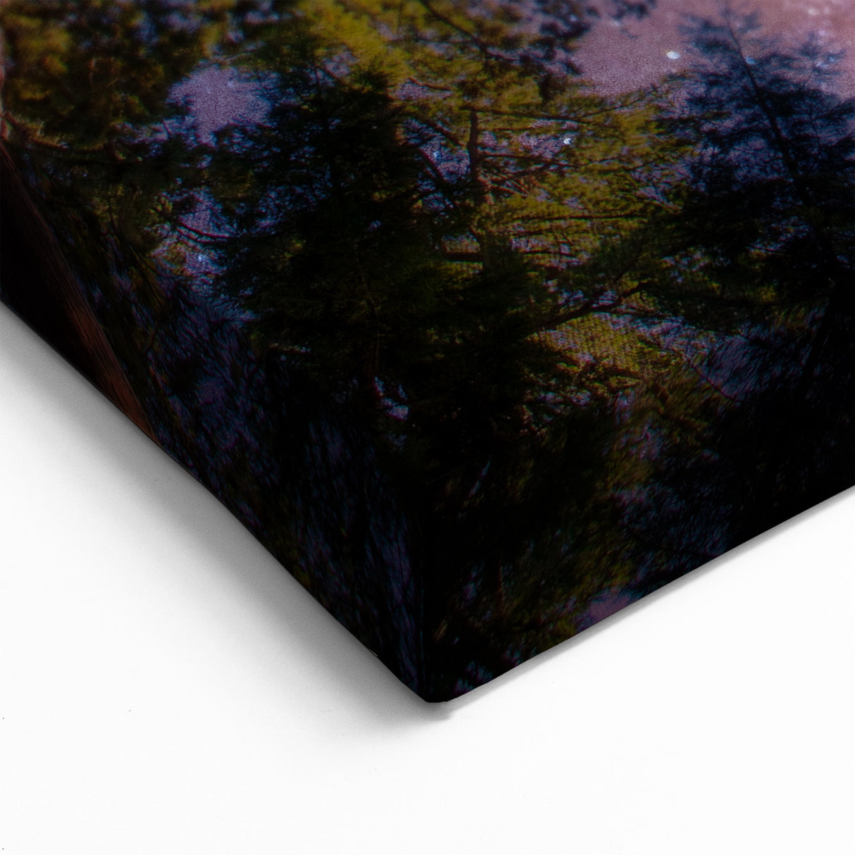 Towering Sequoia Trees Print – Starry Night Sky Wilderness Wall Art