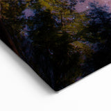 Towering Sequoia Trees Print – Starry Night Sky Wilderness Wall Art