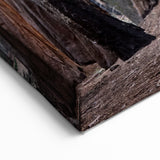 Wilderness Scenes of Sequoia – Burned Sequoia Trunk Nature Photography Art