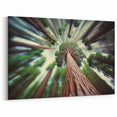 Majestic Sequoia Landscape – Vibrant Forest Photography Canvas Art