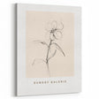 Minimalist Floral Wall Art – Simple Botanical Sketch Art for Modern Decor
