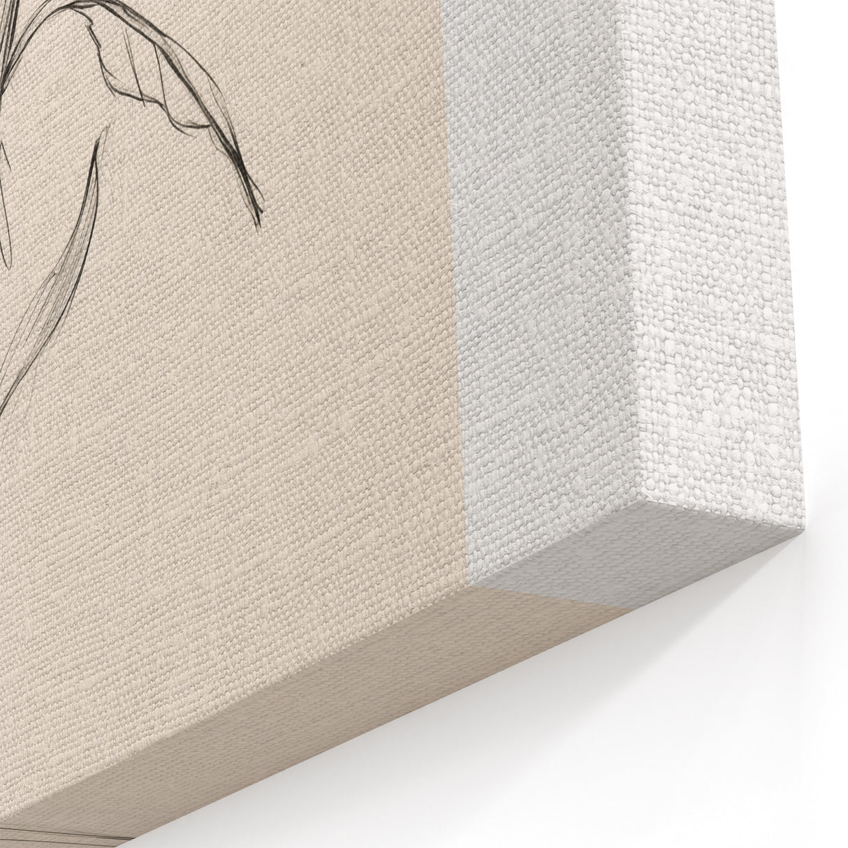 Minimalist Floral Wall Art – Simple Botanical Sketch Art for Modern Decor
