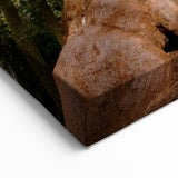 Sequoia Forest Canvas – Majestic Giant Sequoia Tree in California Print