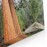 Wilderness Scenes of Sequoia – Trio of Majestic Trees Nature Canvas Art
