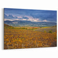 Sonoma Landscape Painting - Scenic Vineyard California Wine Country Art