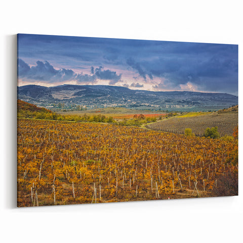 Sonoma Landscape Painting - Scenic Vineyard California Wine Country Art