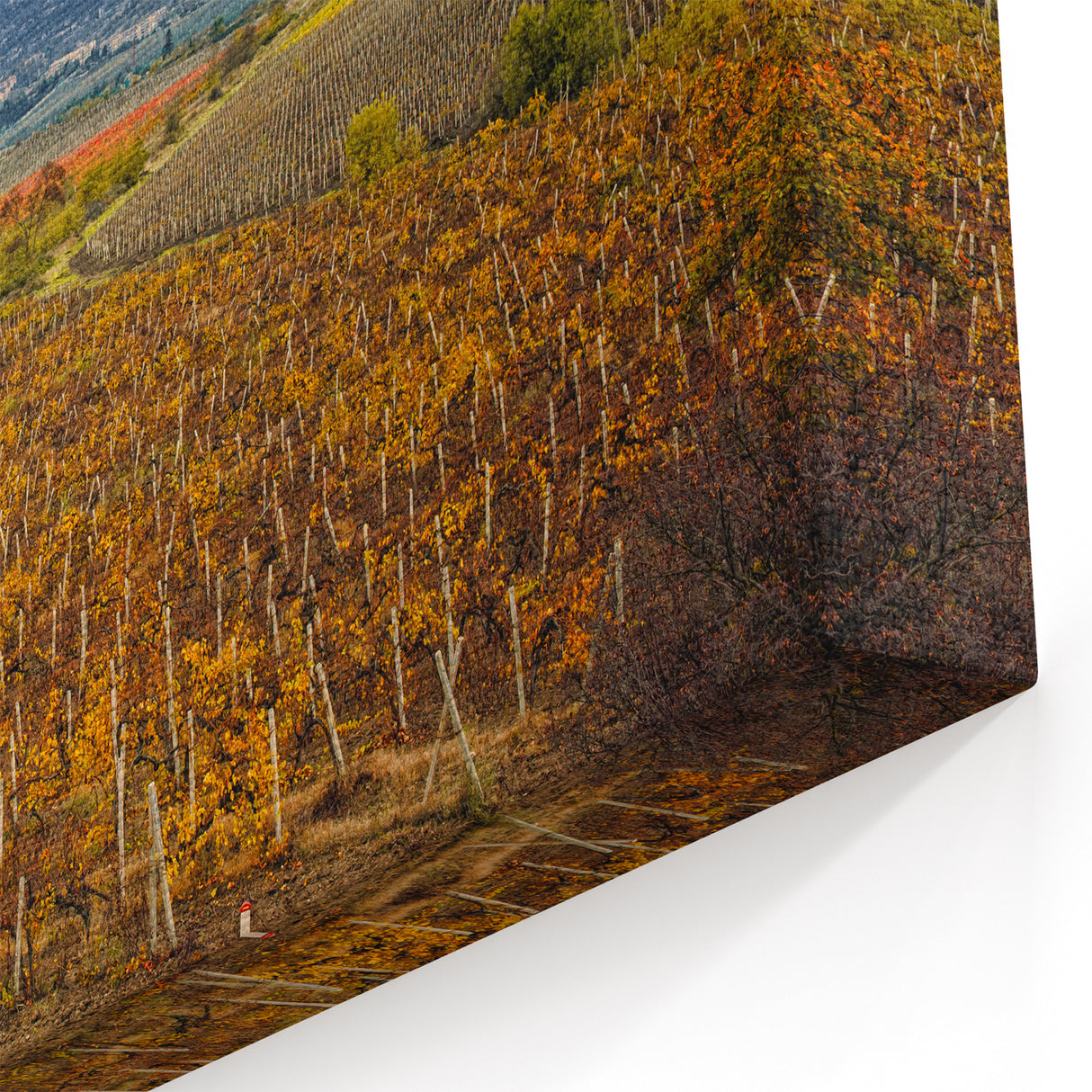 Sonoma Landscape Painting - Scenic Vineyard California Wine Country Art