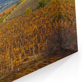 Sonoma Landscape Painting - Scenic Vineyard California Wine Country Art