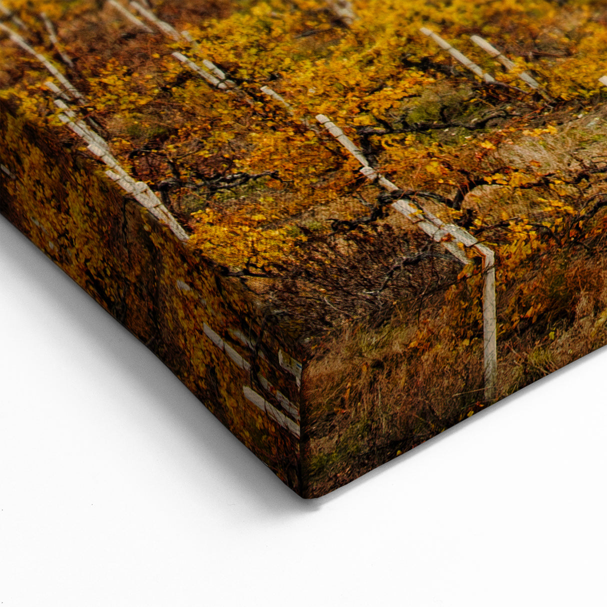 Sonoma Landscape Painting - Scenic Vineyard California Wine Country Art