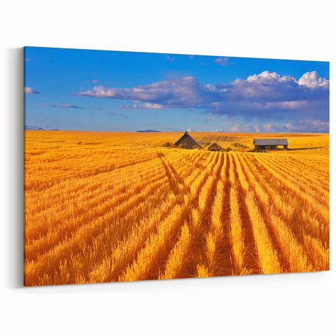 Montana Wall Art - Stunning Montana Canvas Prints of Golden Wheat Fields