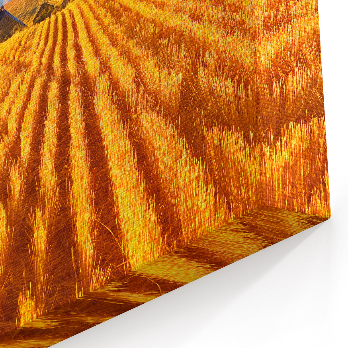 Montana Wall Art - Stunning Montana Canvas Prints of Golden Wheat Fields