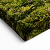 Yosemite National Park Wall Art – El Capitan & Half Dome Canvas Print