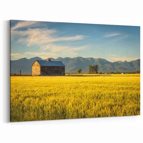 Montana Scenic Art - Golden Wheat Fields and Rustic Barn Landscape