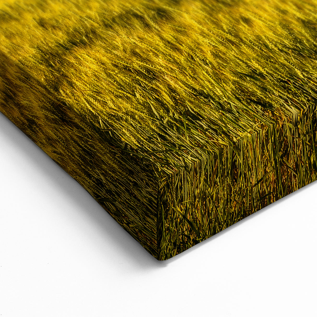 Montana Scenic Art - Golden Wheat Fields and Rustic Barn Landscape