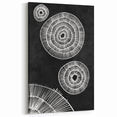 Mid Century Modern Art | Black and White Geometric Wall Decor | Retro Print