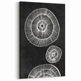 Mid Century Modern Art | Bold Geometric Wall Decor | Retro Black & White