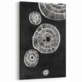 Mid Century Modern Art | Retro Geometric Wall Decor | Black & White Print