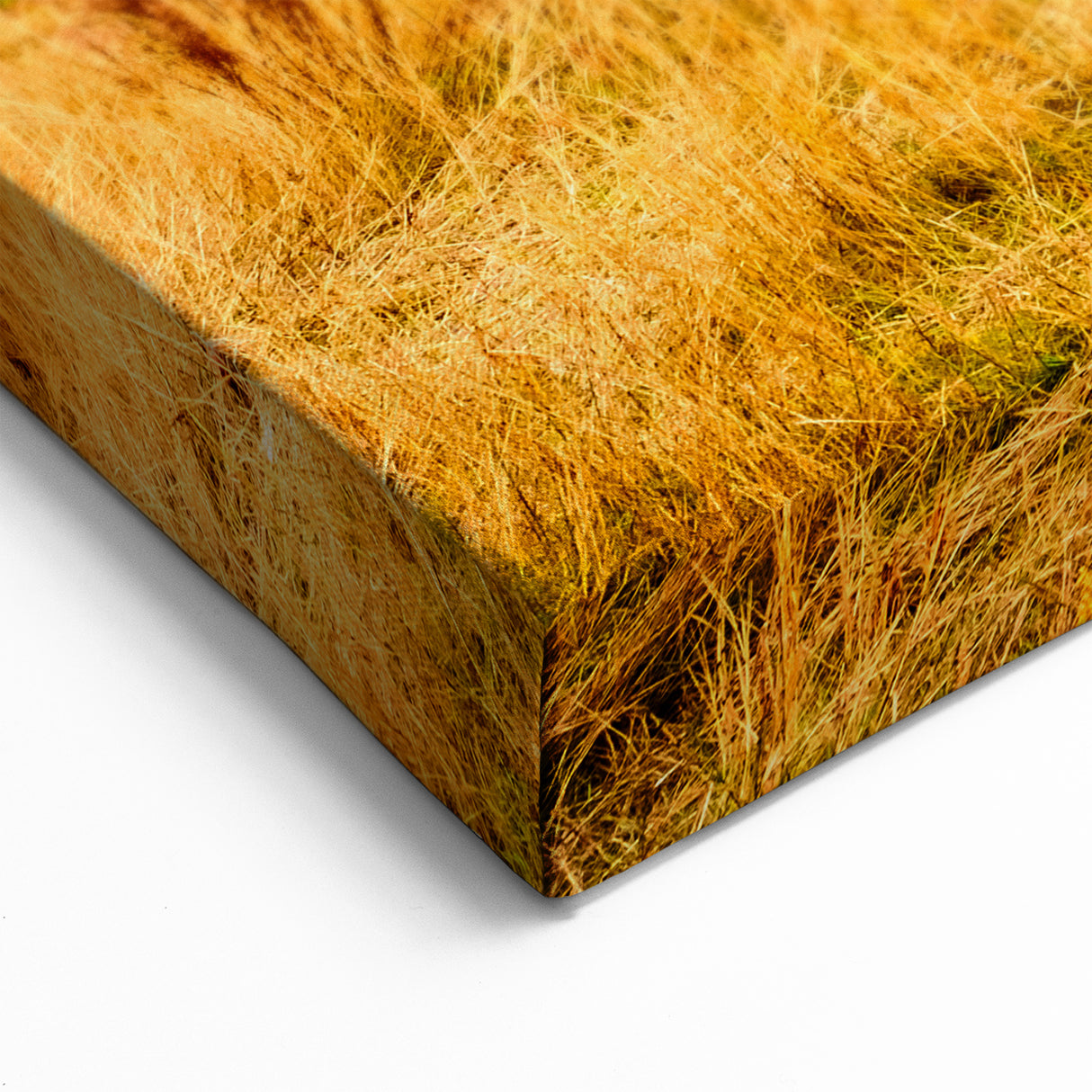 Yosemite National Park Wall Art – Bridalveil Falls Autumn Scenic Print