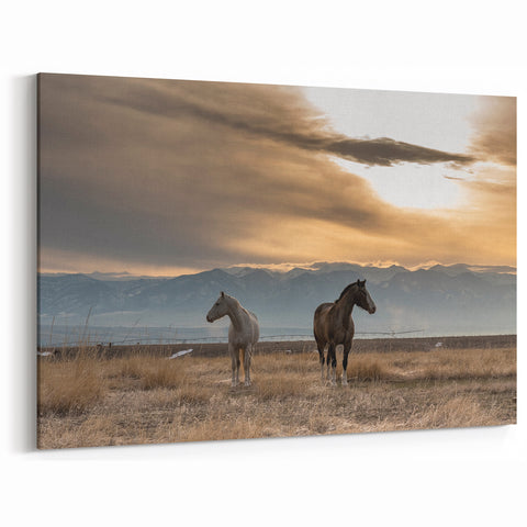 Montana Nature Prints - Horses at Sunrise Mountain Photography Art