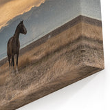 Montana Nature Prints - Horses at Sunrise Mountain Photography Art