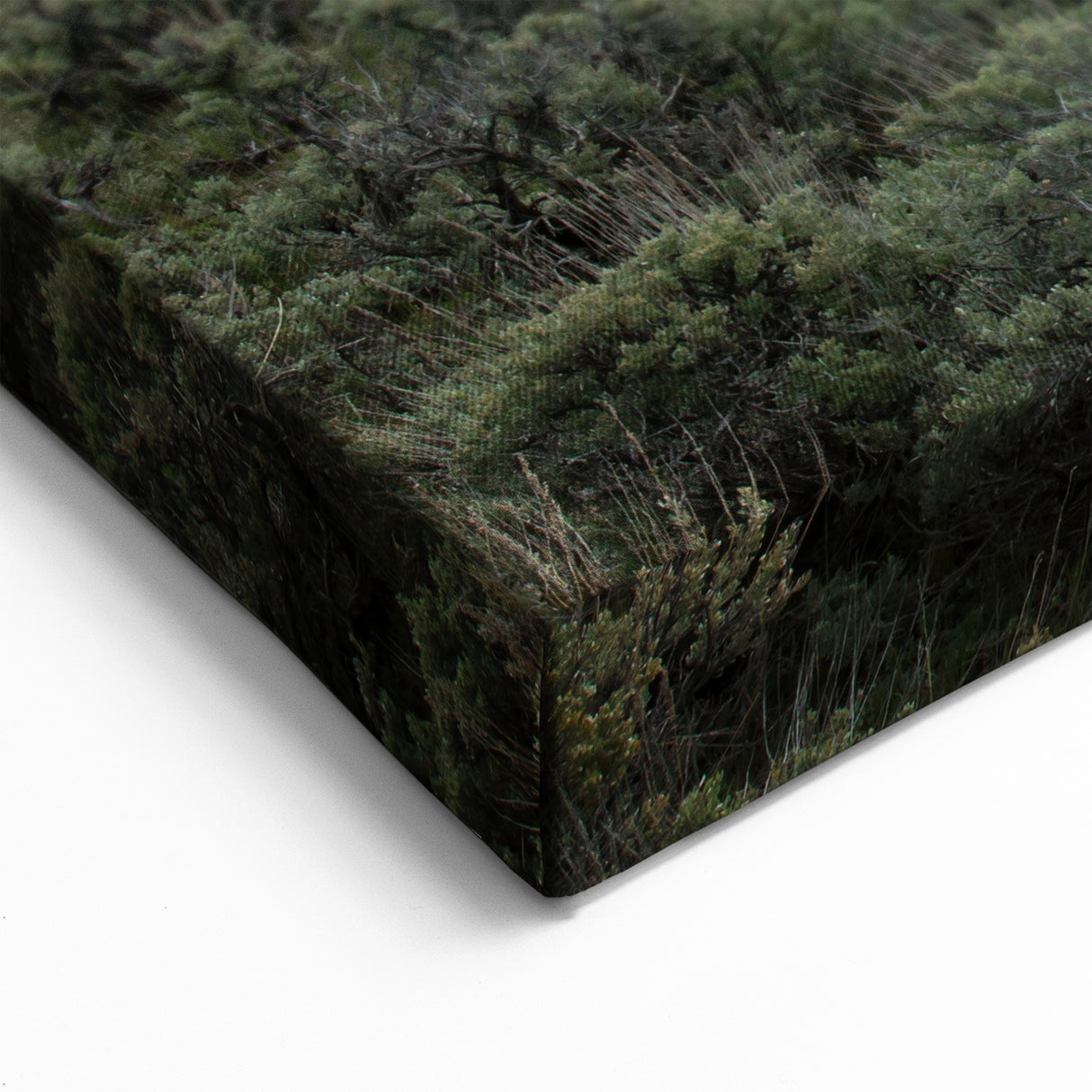 Montana Mountain Art - Cowboy Horseback Riding Landscape Custom Art