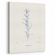 Minimalist Botanical Study – Elegant Floral Line Art for Modern Decor