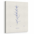Minimalist Botanical Study – Elegant Floral Line Art for Modern Decor