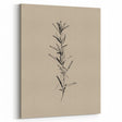 Minimalist Botanical Line Art – Elegant Plant Study for Modern Wall Decor