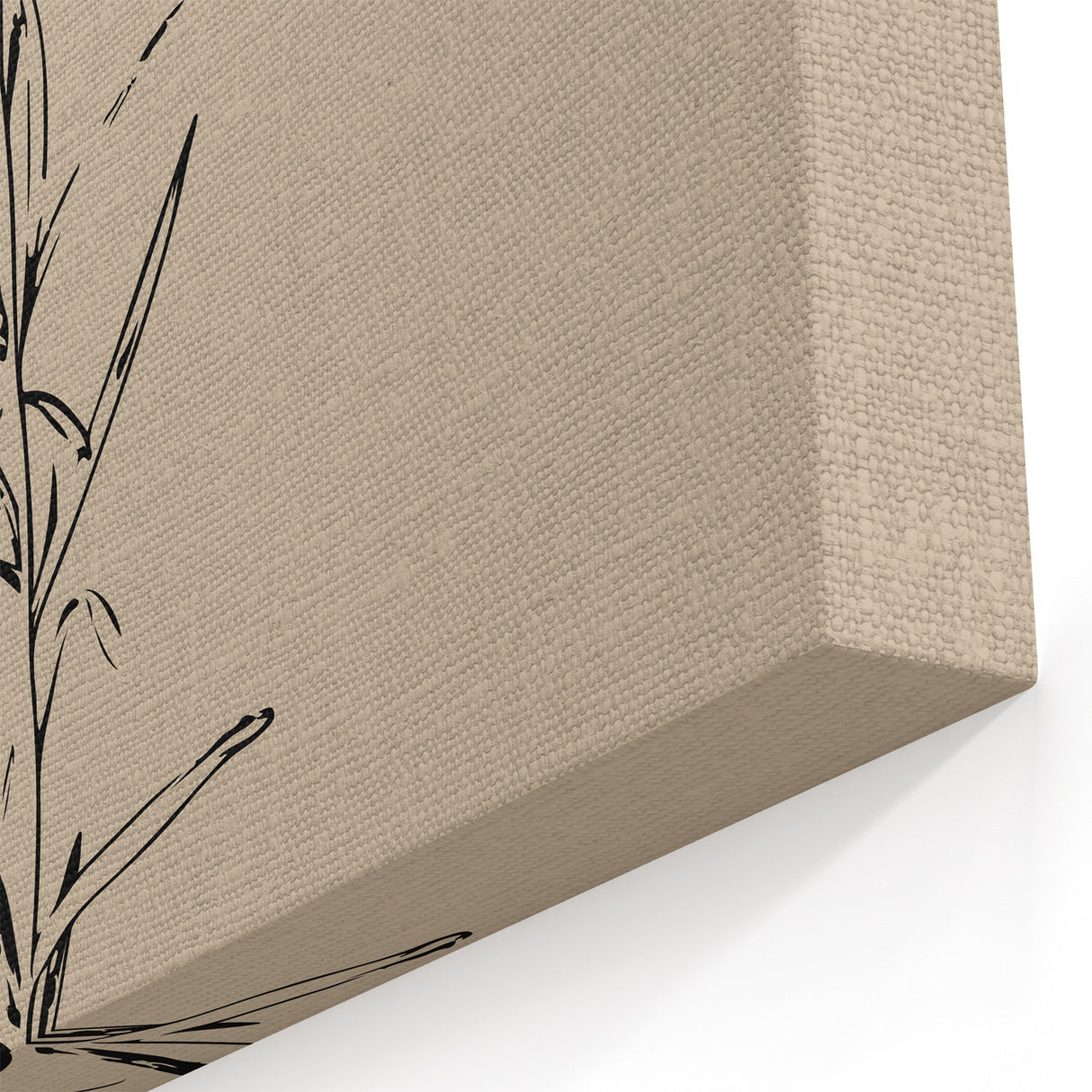 Minimalist Botanical Line Art – Elegant Plant Study for Modern Wall Decor