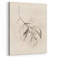 Minimalist Leaf Sketch – Modern Line Art for Clean and Simple Decor