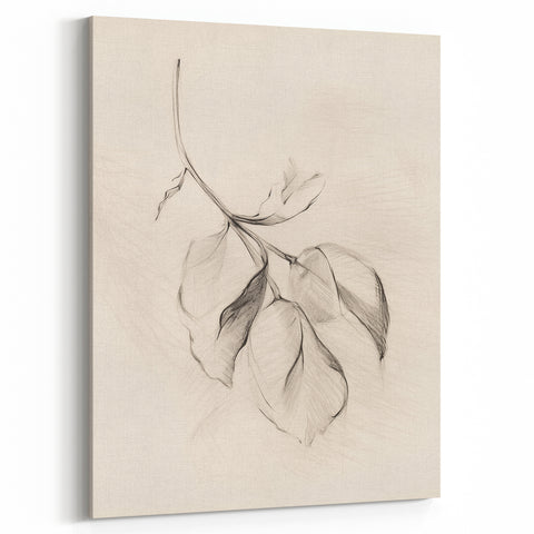 Minimalist Leaf Sketch – Modern Line Art for Clean and Simple Decor