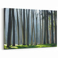 California Cityscape Art – Forest Landscape Wall Art San Francisco Scene