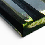 California Cityscape Art – Forest Landscape Wall Art San Francisco Scene