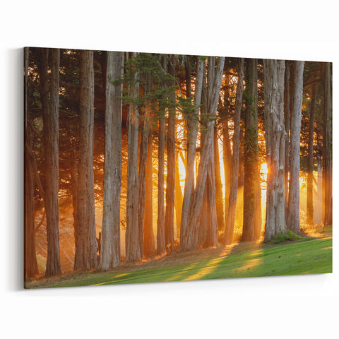 California Cityscape Art – Forest Sunset Wall Art San Francisco Scene