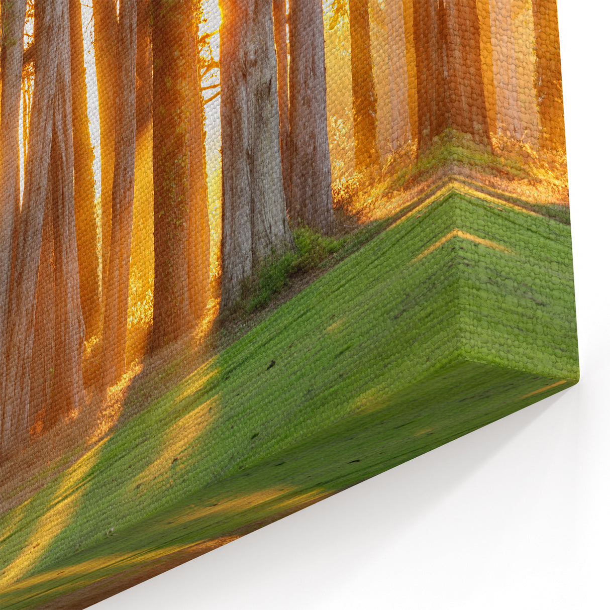 California Cityscape Art – Forest Sunset Wall Art San Francisco Scene