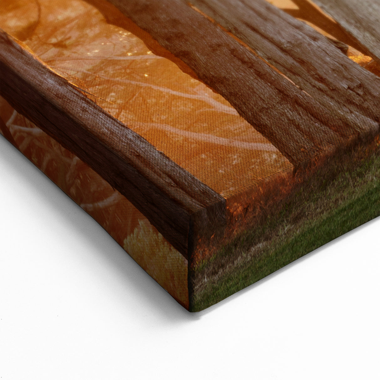 California Cityscape Art – Forest Sunset Wall Art San Francisco Scene